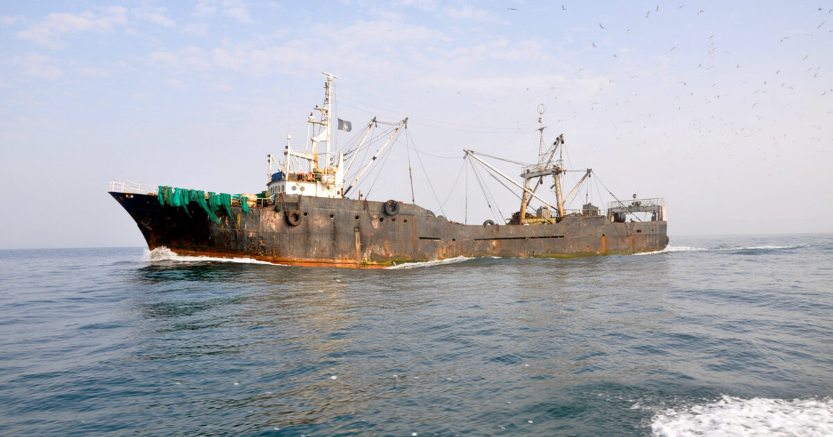 Somalia hiện đại hóa ngành thủy sản, chống đánh bắt bất hợp pháp