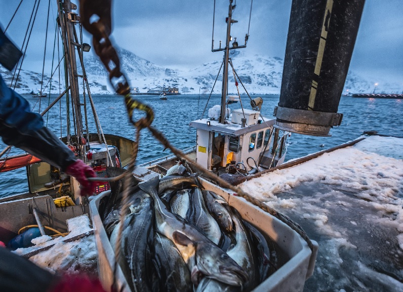 Nga và Na Uy đang nối lại hợp tác nghề cá bất chấp áp lực từ EU