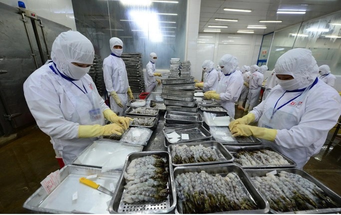 Vượt sóng dữ - Giữ mũi thuyền hướng về tương lai