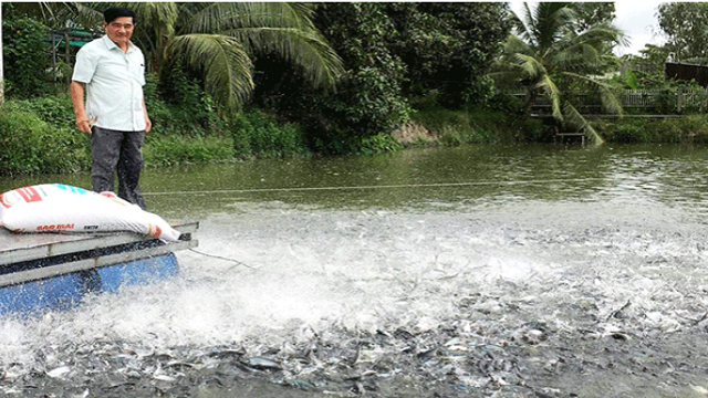 Can Tho’s fisheries sector records 6.26% growth in 2025