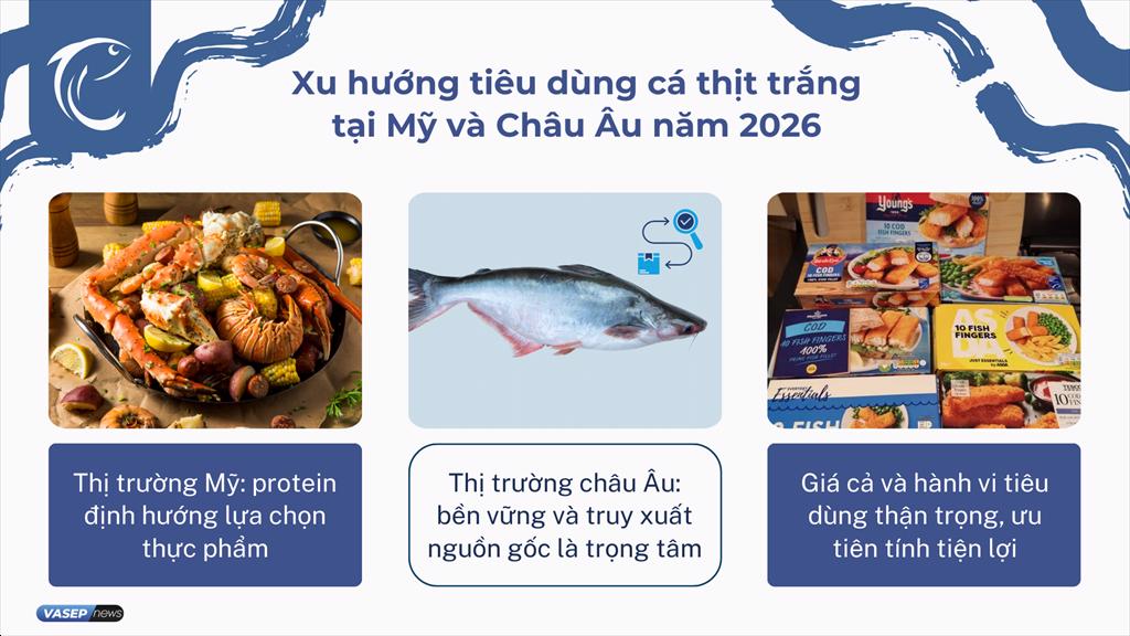 Xu hướng tiêu dùng cá thịt trắng tại Mỹ và Châu Âu năm 2026
