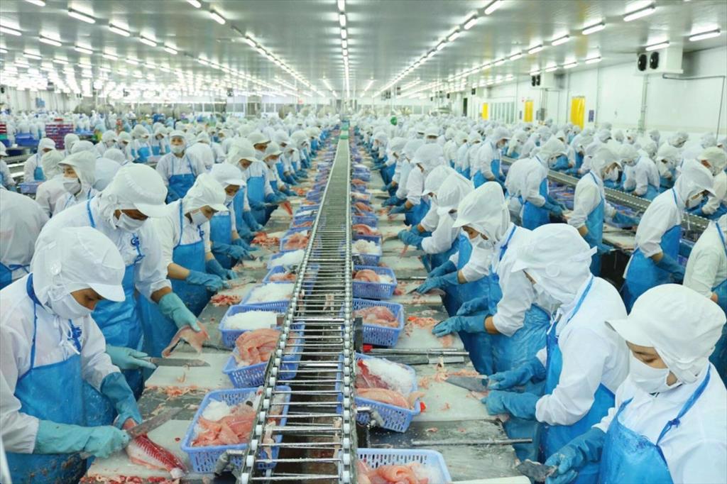 Giữ thị trường cũ, mở cửa mới Xuất khẩu Đồng Tháp hướng mốc 10 tỷ USD