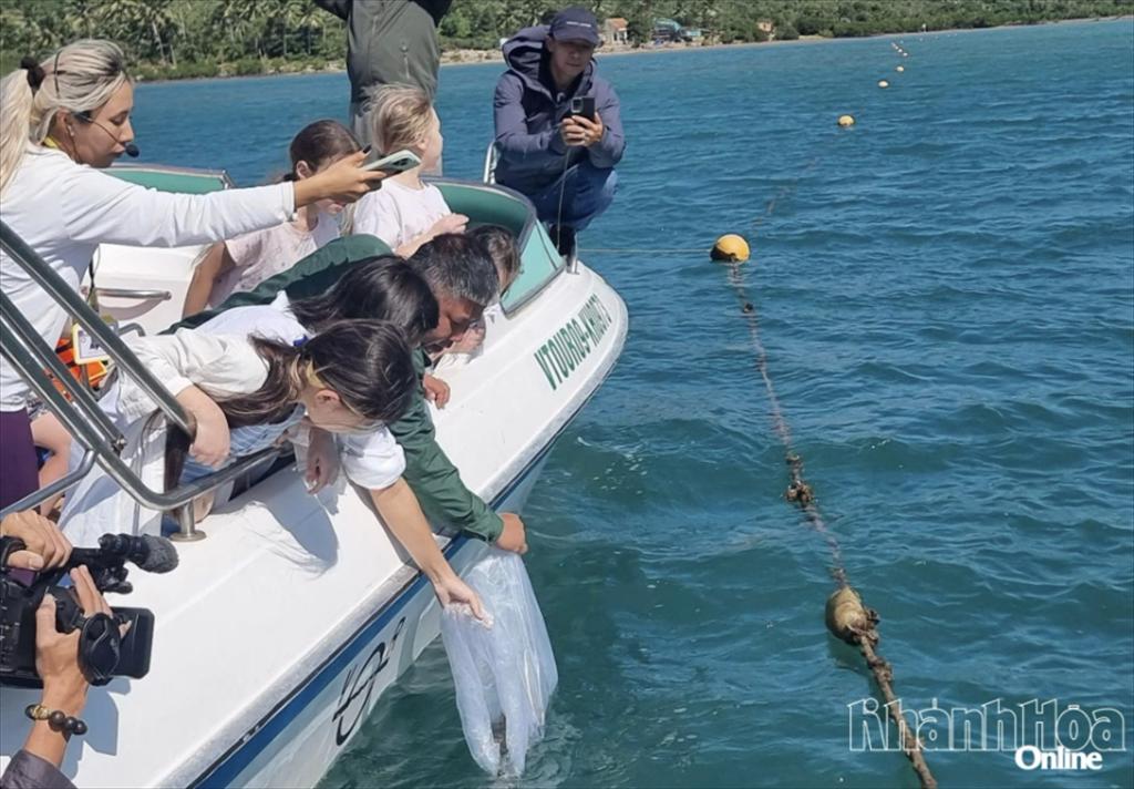 Thả 6.000 con giống cá chẽm tái tạo nguồn lợi thủy sản vịnh Nha Trang