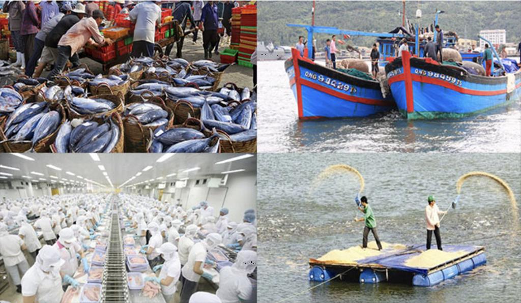 10 strategic highlights of Vietnam’s fisheries industry in 2025