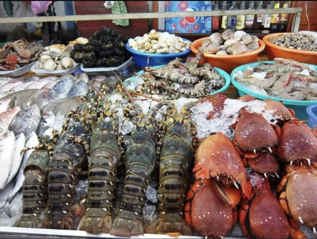 Vietnam’s fisheries sector targets output of over 10 million tons in 2026