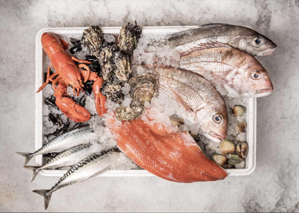 AI tạo điểm nhấn mới cho ngành thủy sản toàn cầu từ năm 2026