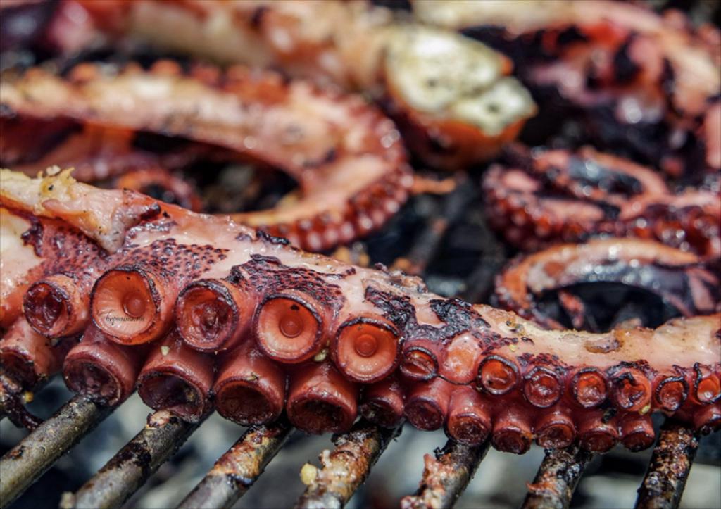 Giá bạch tuộc tại Mỹ tăng mạnh đầu năm 2026