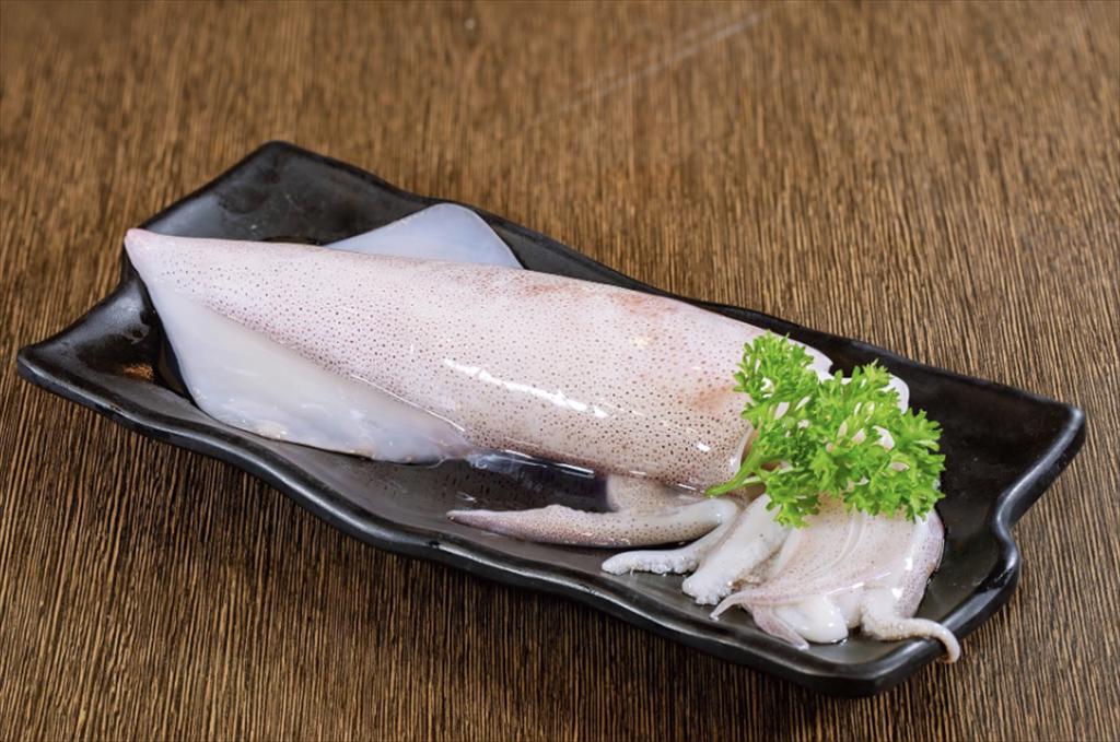 Thị trường mực ống ngoài khơi đầu năm 2026 tiếp tục trầm lắng, giá giảm