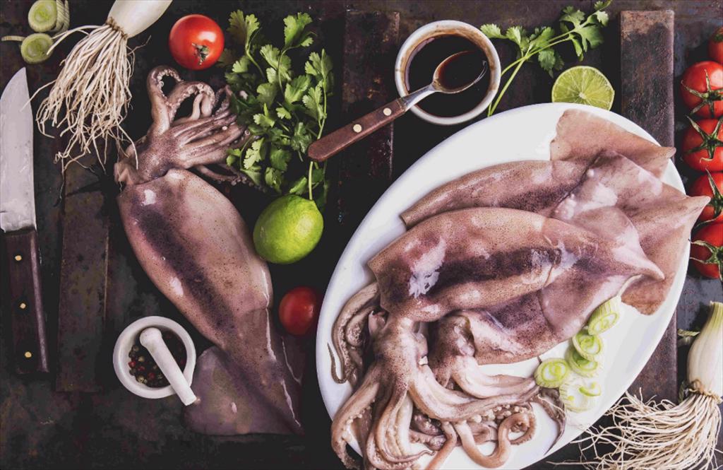 Mùa mực Argentina 2026 khởi đầu thuận lợi