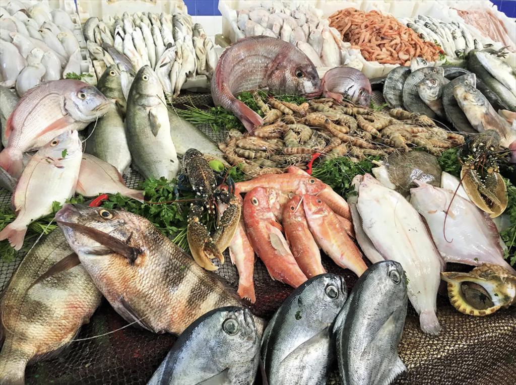 Hướng dẫn dinh dưỡng mới của Mỹ mở cơ hội lớn cho thủy sản nuôi Chile và Ecuador