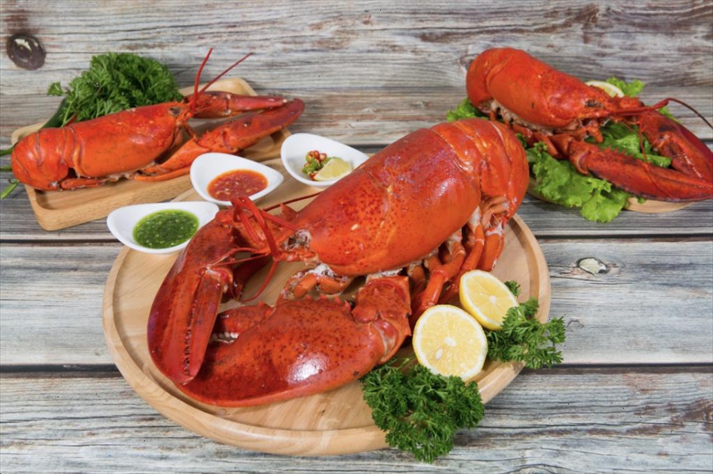 Giá tôm hùm Canada tăng vọt giữa biến động thị trường