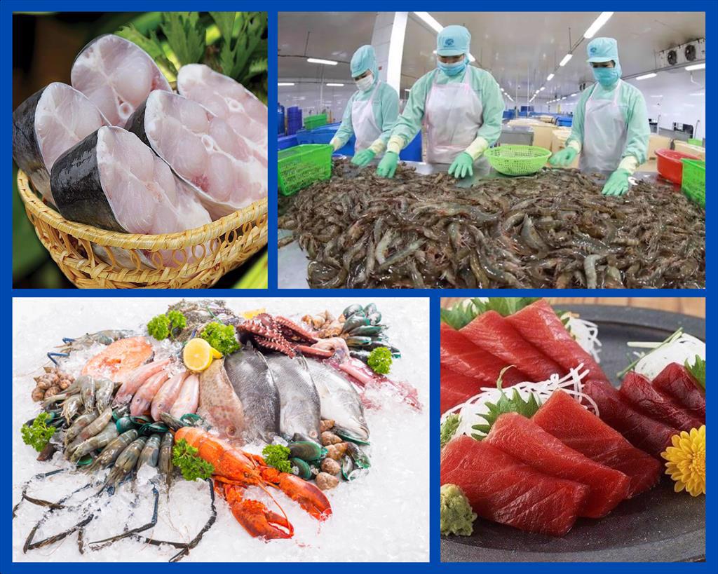 Infographic Xuất khẩu Thuỷ sản của Việt Nam năm 2025