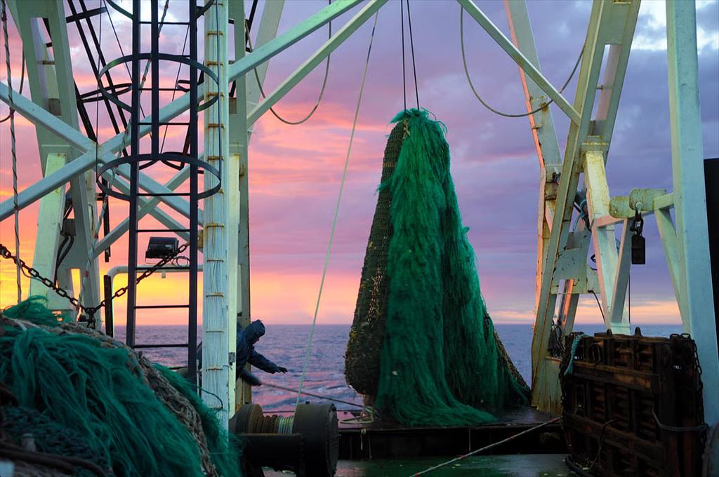 Argentina kết nối với hệ thống CATCH của EU nhằm đẩy nhanh xuất khẩu thủy sản