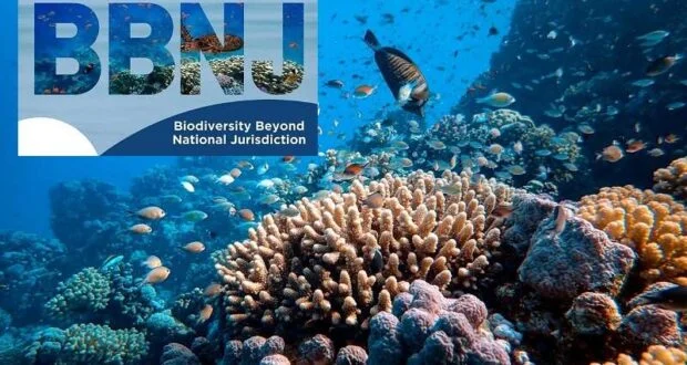 Sau hơn 20 năm đàm phán, Hiệp ước Biển cả của Liên Hợp Quốc chính thức có hiệu lực