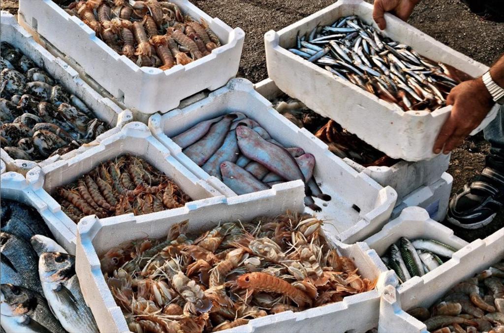 Vietnam’s seafood 2025 Surging past headwinds and the the strategic pivot of market leaders