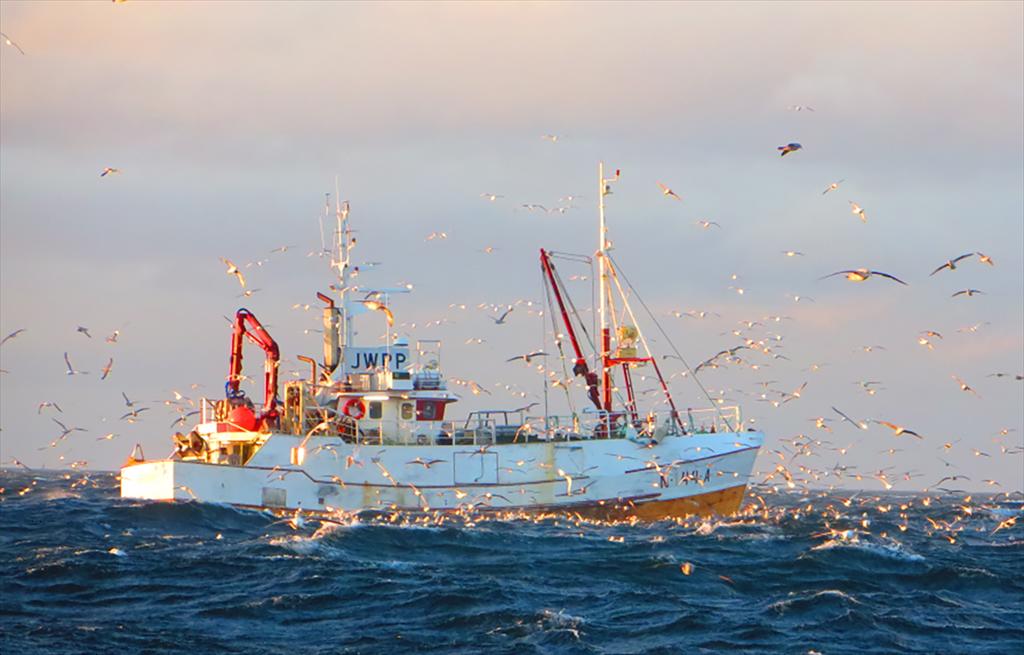 Thị trường thủy sản toàn cầu từng bước phục hồi, hướng về mức năm 2022