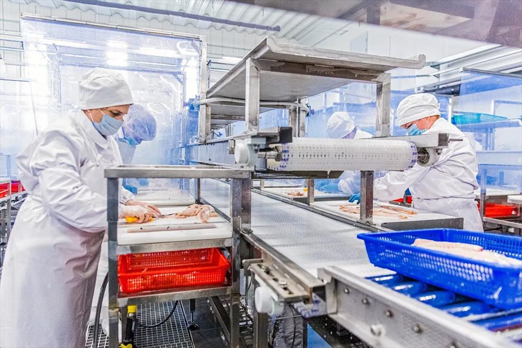 Giao dịch nguyên liệu cá minh thái Nga chậm lại, giá duy trì ở mức cao