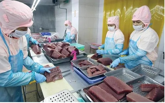 Xuất khẩu cá ngừ Thái Lan giảm 2%, Việt Nam đứng trước phép thử 2026