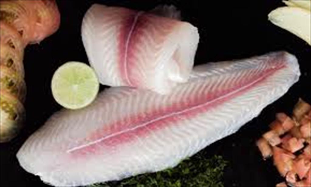 Pangasius exports in 2025 exceed USD 2 billion, with strong growth in multiple markets