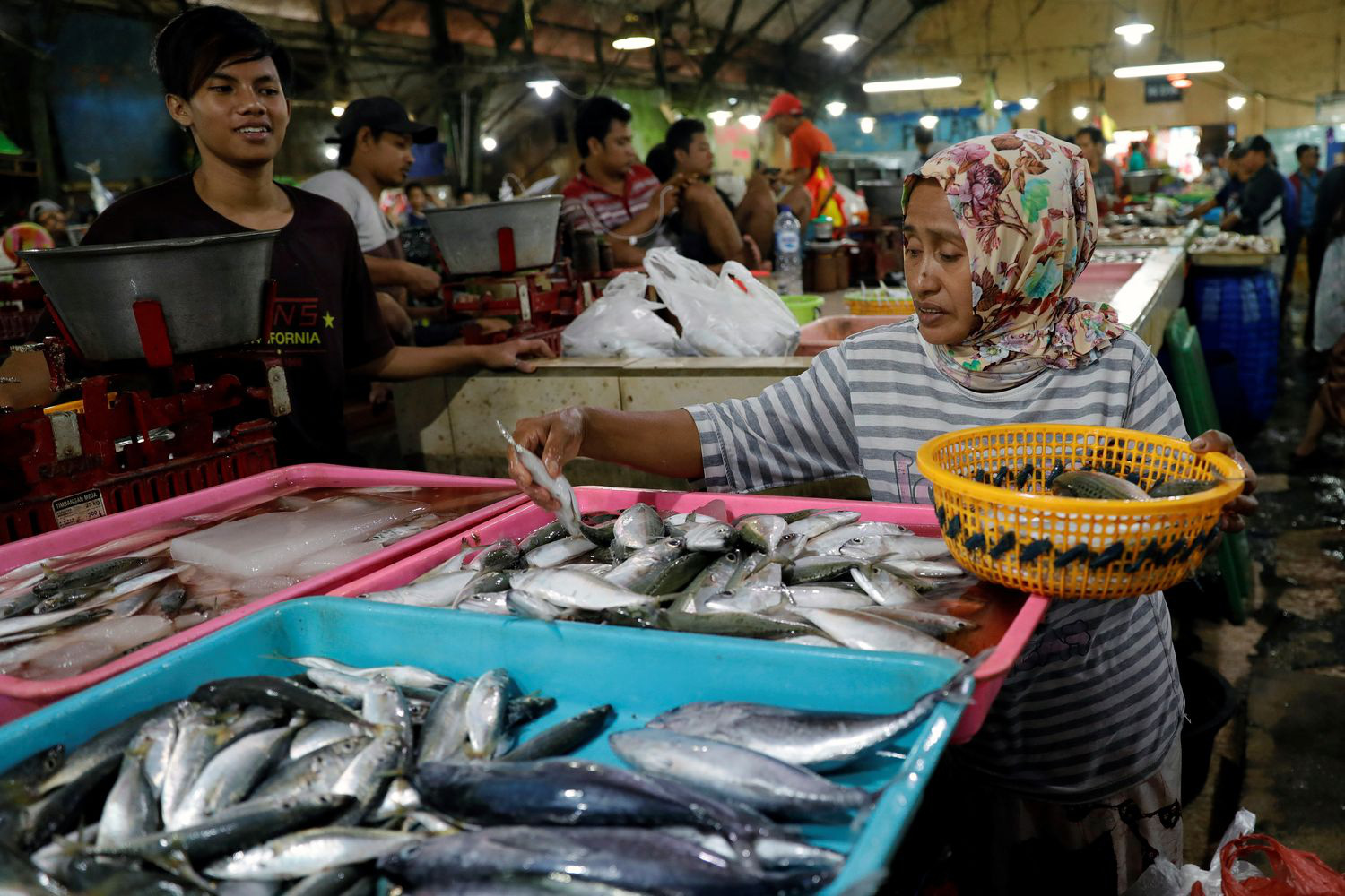 Indonesia mở rộng quyền xuất khẩu hải sản sang Đài Loan và Hàn Quốc