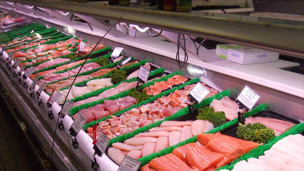 Thông báo kết luận của Phó Thủ tướng Lê Thành Long về việc triển khai Nghị định số 462026NĐ-CP