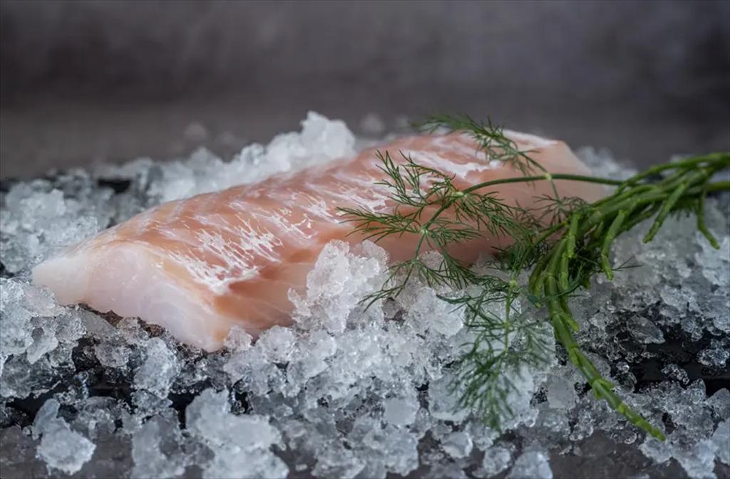 EU tăng mạnh nhập khẩu phi lê cá Nga bất chấp rào cản thương mại và lệnh trừng phạt 