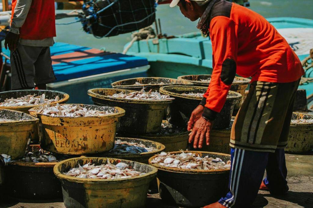 Quang Tri converts over 770 fishing vessels