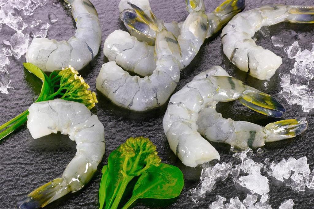 Ca Mau’s shrimp-rice model proves effective in climate change adaptation