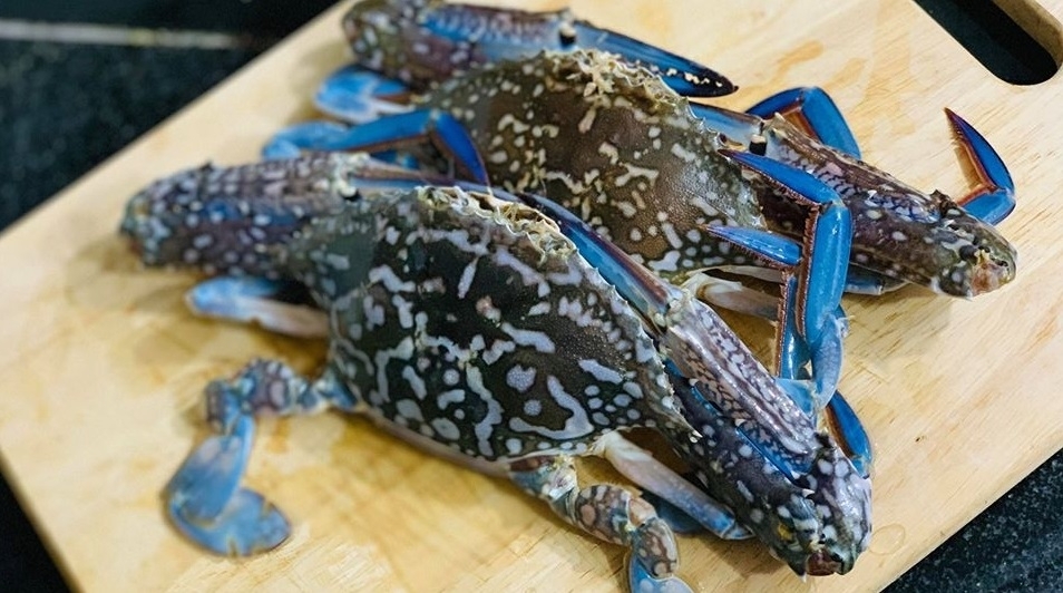 Xuất khẩu ghẹ của Việt Nam tăng nhẹ, thị trường phân hoá mạnh