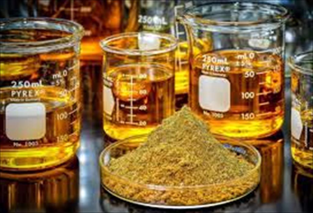 IFFO Sản lượng bột cá và dầu cá toàn cầu tăng trong năm 2025