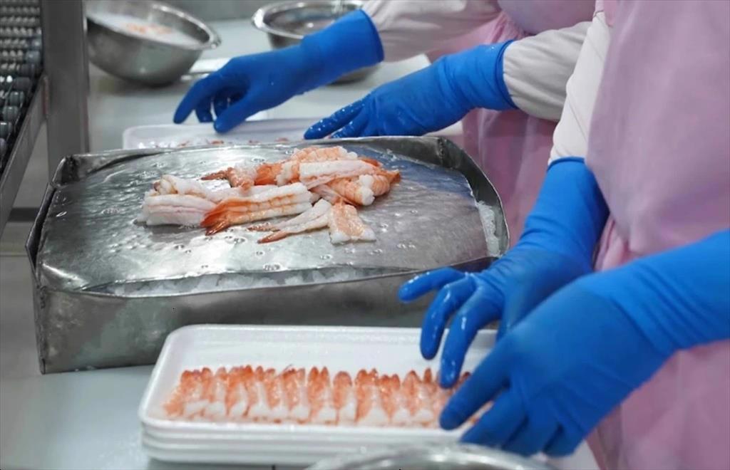 Infographic Xuất khẩu tôm của Việt Nam tháng 1 năm 2026