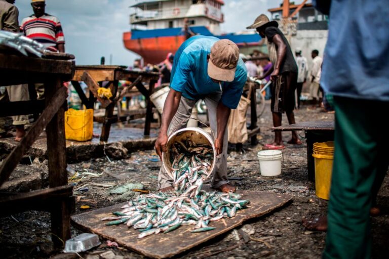 IGAD cảnh báo về nạn đánh bắt cá bất hợp pháp ở Đông Phi