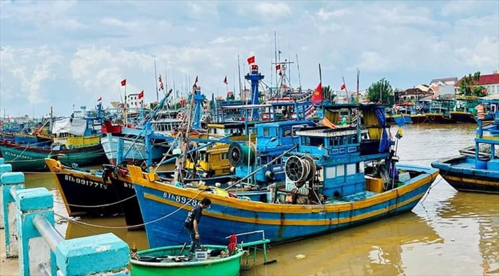 Initial effectiveness of IUU prevention models in Lam Dong