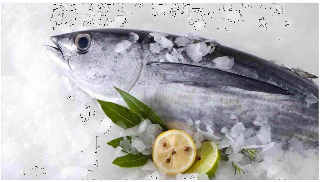 Vietnam’s tuna exports rise in early 2026, while shipments to the U.S. decline