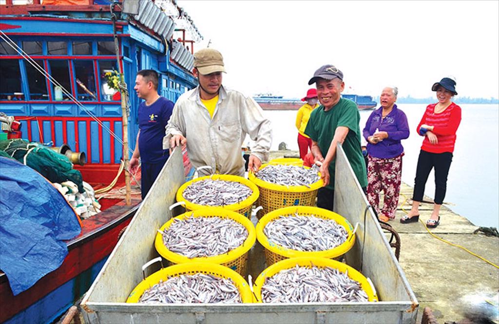Quang Tri seafood catch exceeds 15,941 tons