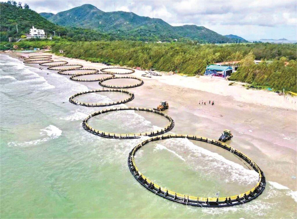 Trung Quốc sửa đổi Luật Thủy sản, siết đánh bắt bất hợp pháp và thúc đẩy nuôi biển xanh