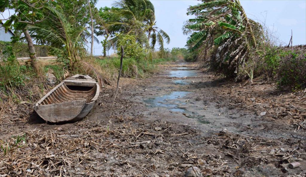 An Giang chủ động ứng phó hạn mặn, bảo vệ vùng nuôi tôm mùa khô 2025–2026