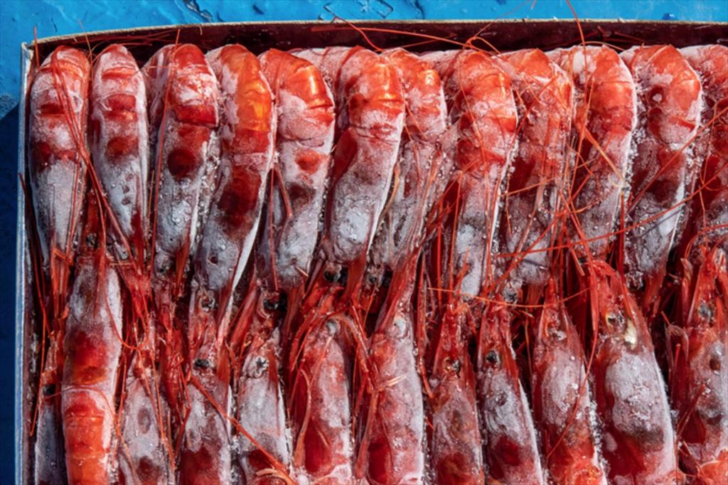 Xuất khẩu tôm Indonesia đầu năm 2026 Sản lượng giảm, giá trị vẫn tăng