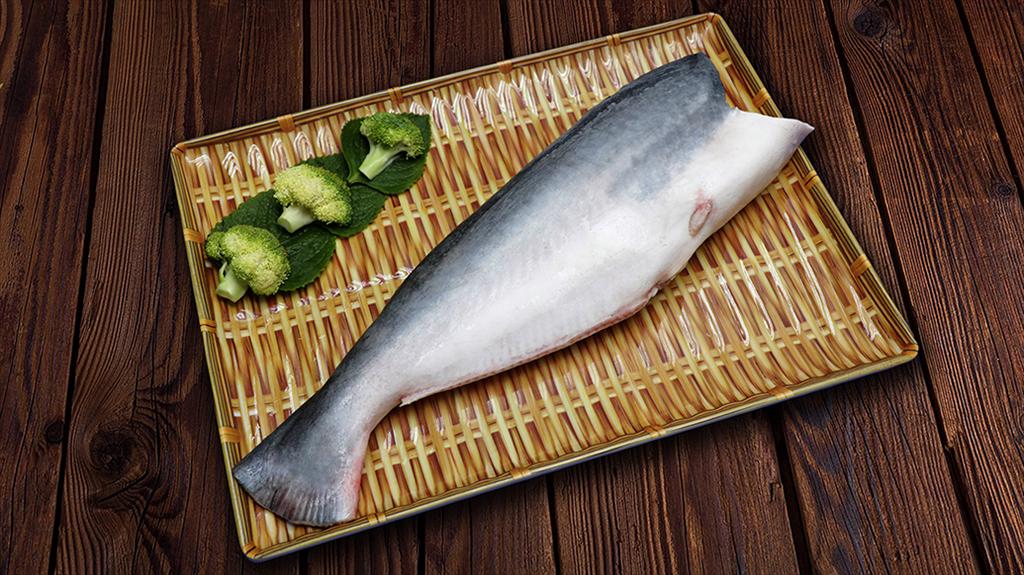 Vietnamese pangasius shows positive growth across major market blocs