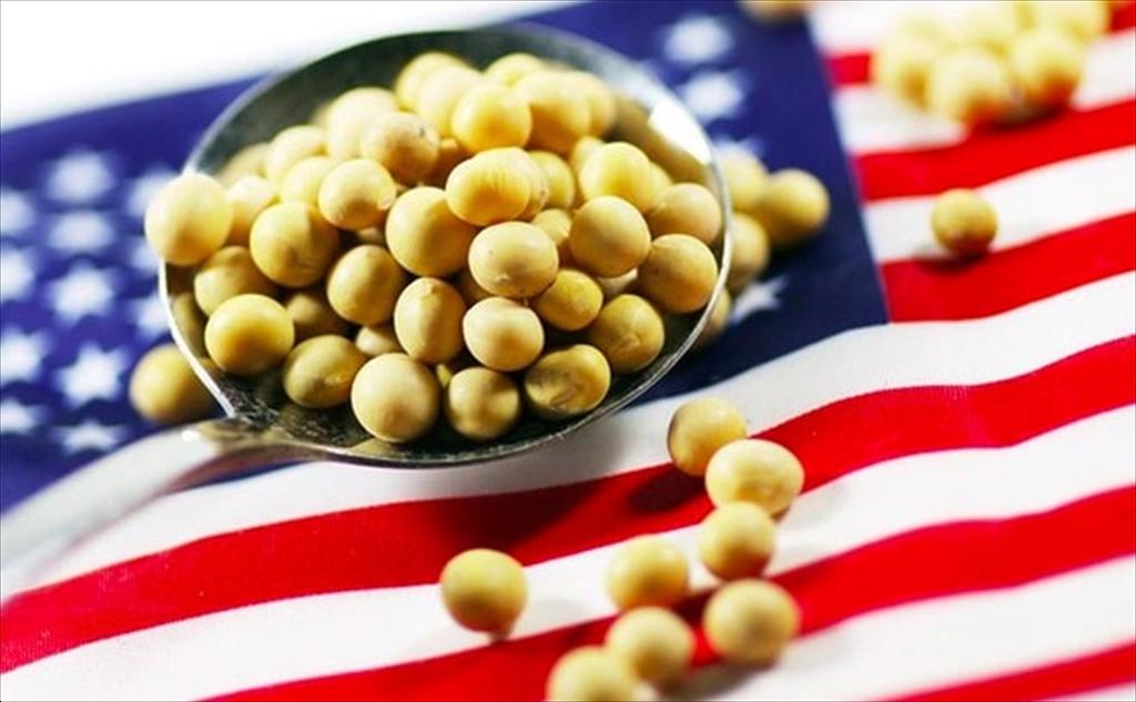 Hơn 70% đậu tương xuất khẩu của Mỹ được chứng nhận bền vững