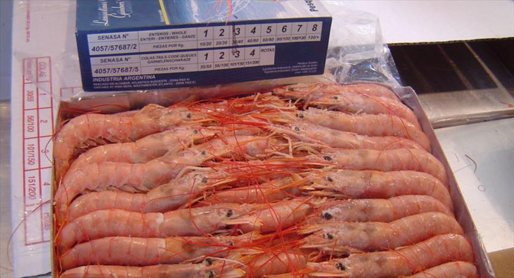 Mùa khai thác tôm đỏ Argentina sắp kết thúc, sản lượng đạt hơn 84.000 tấn