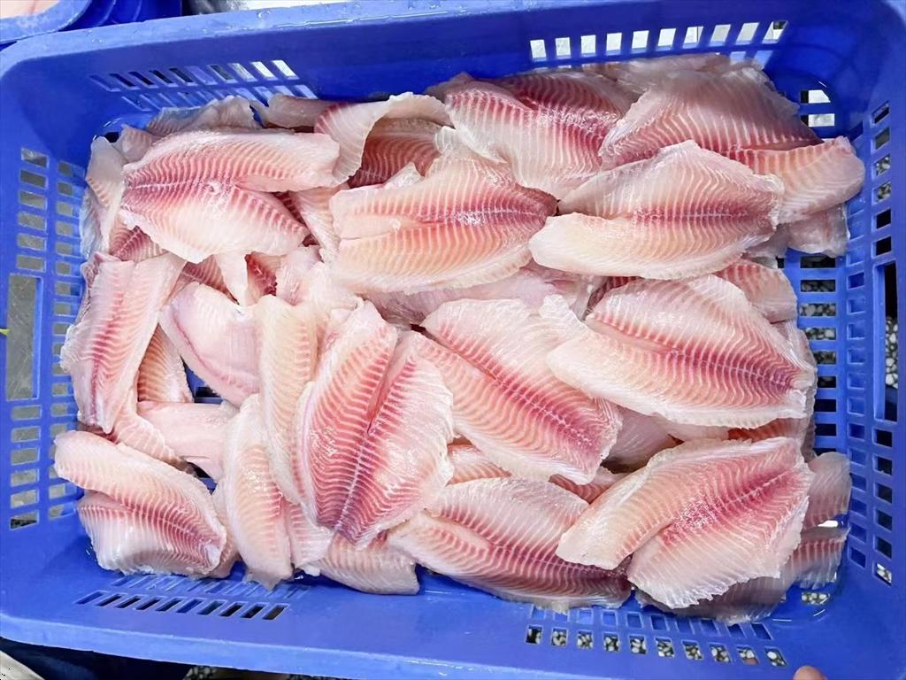 Giá cá rô phi nguyên liệu tại Trung Quốc nhích nhẹ