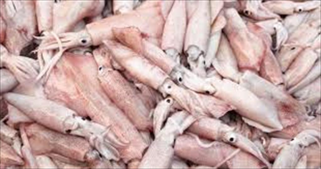 SPRFMO giảm 15% hạn ngạch tàu khai thác mực khổng lồ