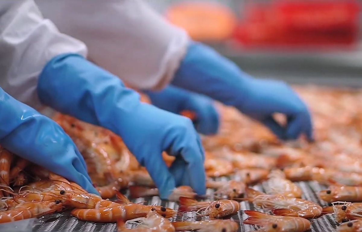 Xuất khẩu tôm 2 tháng đầu năm 2026 Trung Quốc dẫn dắt, tôm hùm bứt phá