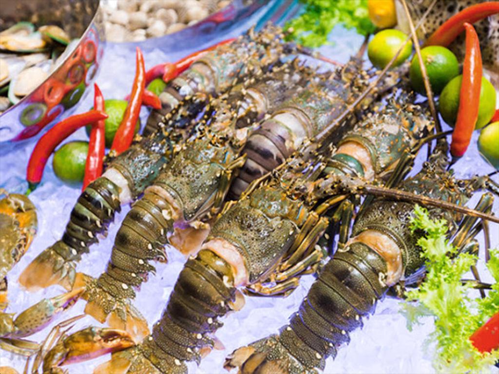 Shrimp exports in the first two months of 2026 China drives growth, lobster surges