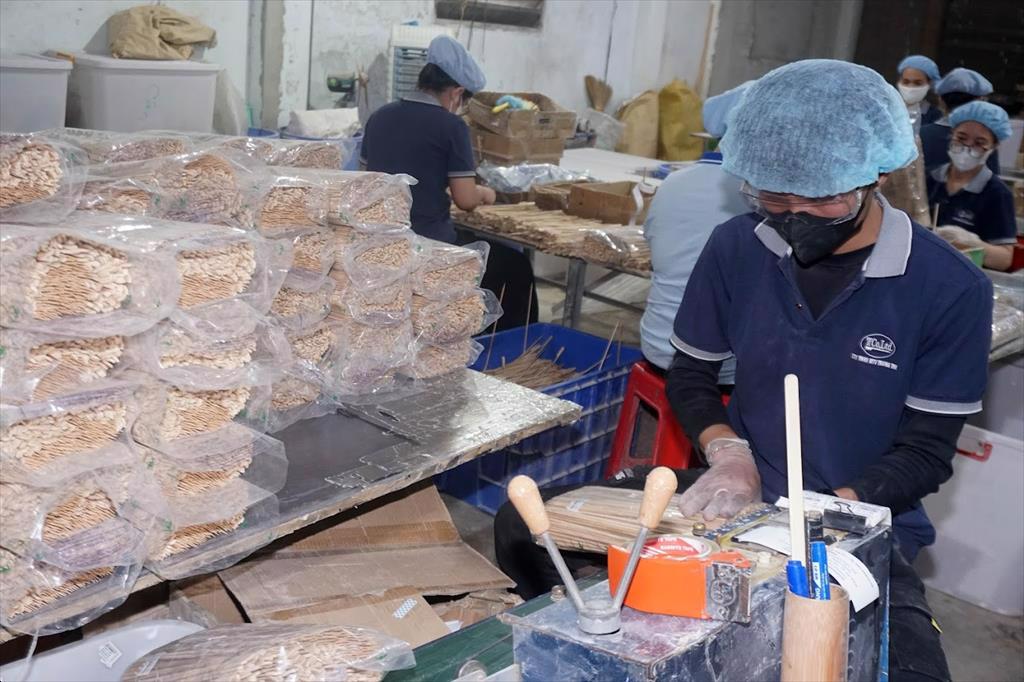 Gửi tình yêu vào Tre...