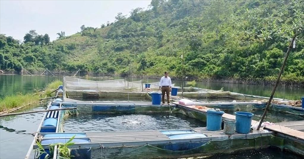Phú Thọ hướng tới phát triển bền vững nghề nuôi cá lồng
