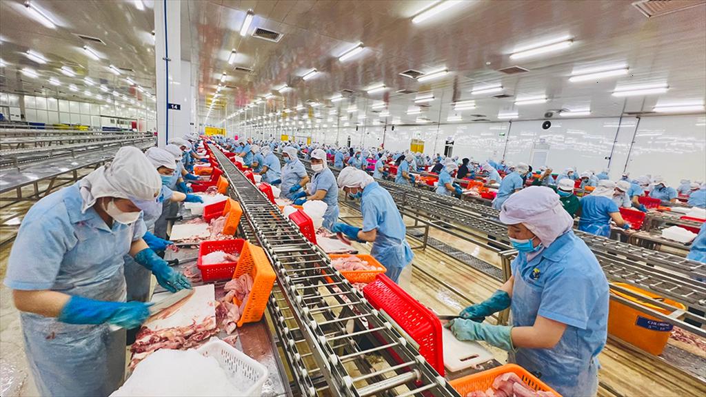 Doanh nghiệp thủy sản An Giang đẩy mạnh chuyển đổi xanh để mở rộng thị trường