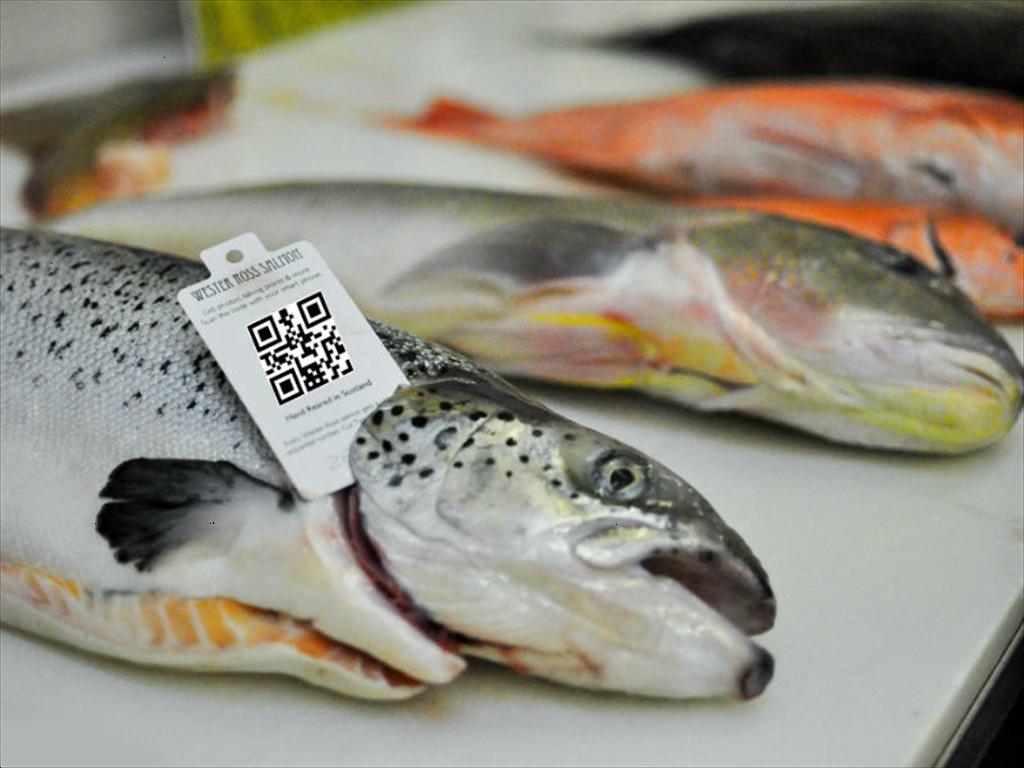 Truy xuất nguồn gốc Yêu cầu cấp thiết của ngành thủy sản toàn cầu