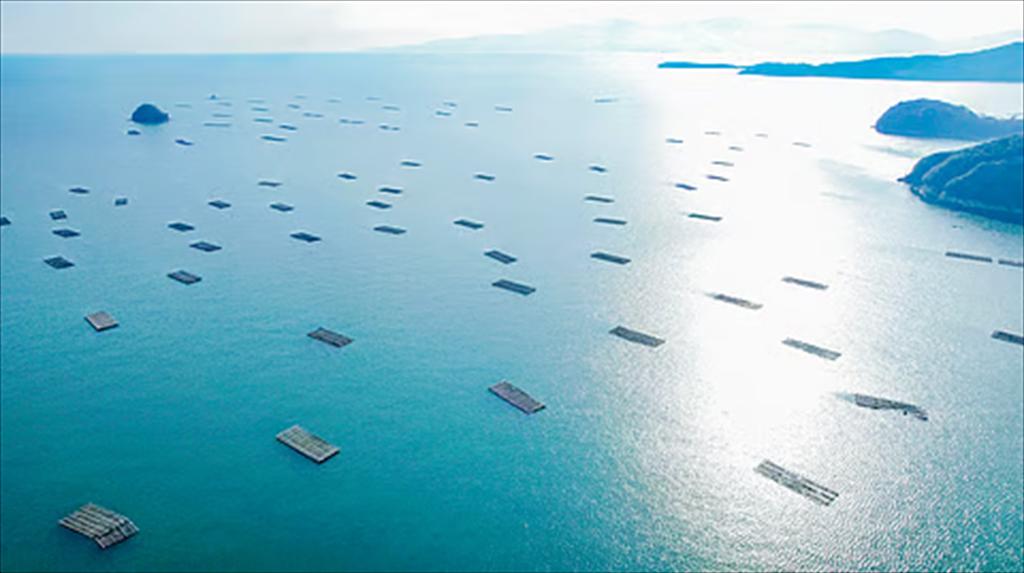 ASC lấy ý kiến xây dựng quy định nuôi trồng thủy sản trong khu bảo tồn